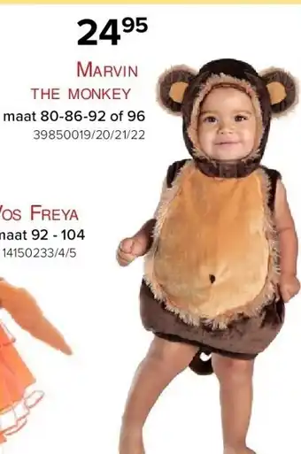 Marvin the monkey