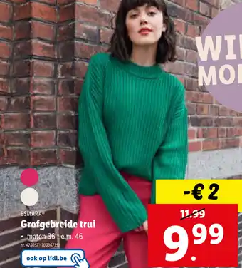 Lidl Grofgebreide trui aanbieding