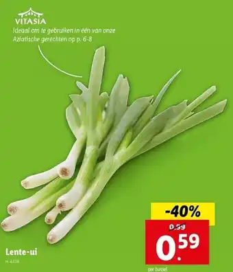 Lidl Lente-ui aanbieding