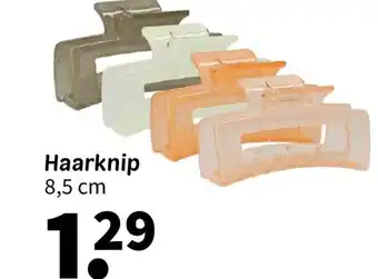 Wibra Haarknip aanbieding