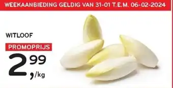 Alvo WITLOOF aanbieding