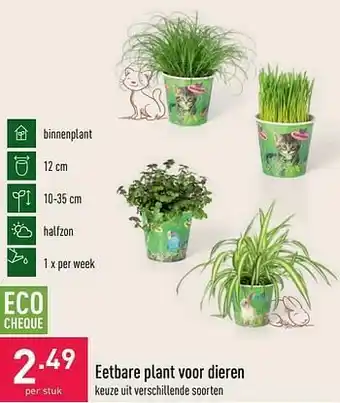 ALDI Eetbare plant voor dieren aanbieding