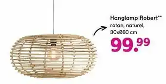 Hanglamp robert