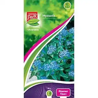 Brico Central Park zaad pakket myosotis ’Bloemen’ aanbieding