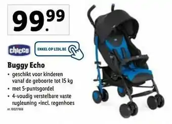 Buggy echo
