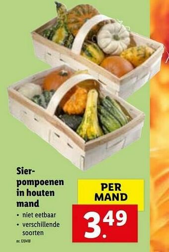 Lidl Sierpompoenen in houten mand aanbieding
