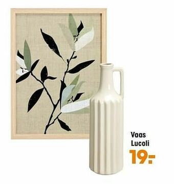 Kwantum Vaas lucoli aanbieding