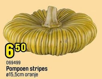 Happyland Pompoen stripes aanbieding