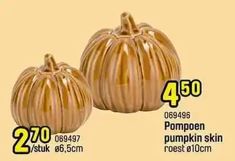Happyland Pompoen pumpkin skin aanbieding