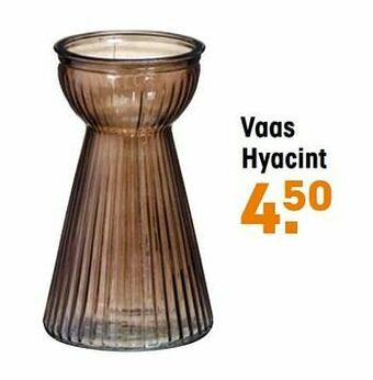 Kwantum Vaas hyacint aanbieding