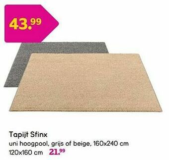 Leen Bakker Tapijt sfinx aanbieding