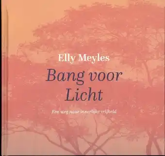 Bol.com Bang voor licht aanbieding