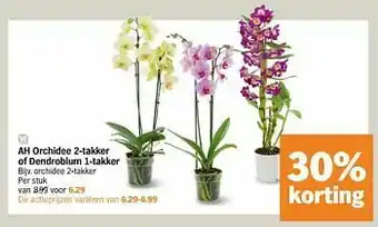 Orchidee 2-takker