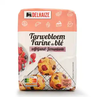 Delhaize Bloem | Zelfrijzende aanbieding
