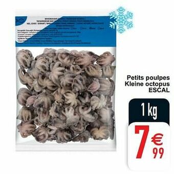 Petits poulpes kleine octopus escal