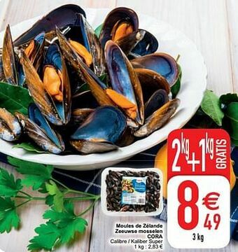 Cora Moules de zélande zeeuwse mosselen cora aanbieding