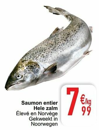 Cora Saumon entier hele zalm aanbieding