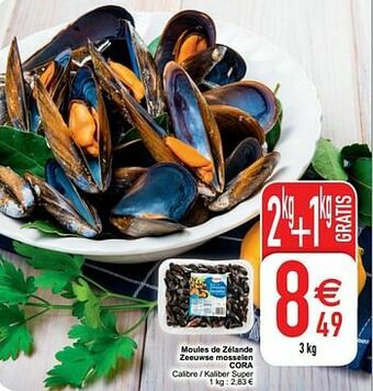 Cora Moules de zélande zeeuwse mosselen cora aanbieding