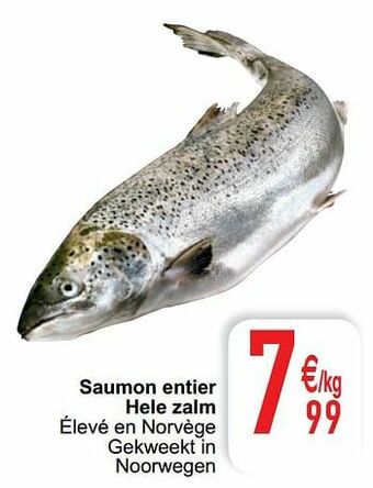 Cora Saumon entier hele zalm aanbieding