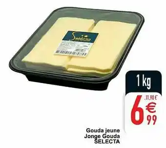 Gouda jeune jonge gouda selecta