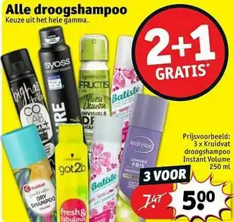 Kruidvat Kruidvat droogshampoo instant volume aanbieding