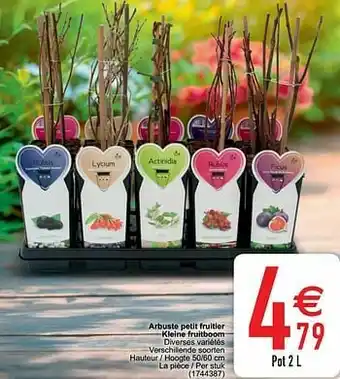 Cora Arbuste petit fruitier kleine fruitboom aanbieding