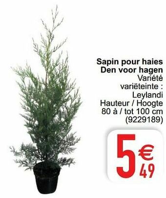 Cora Sapin pour haies den voor hagen aanbieding