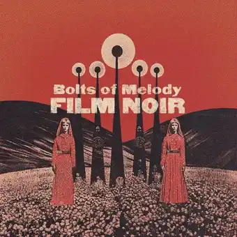 Bol.com Film Noir aanbieding