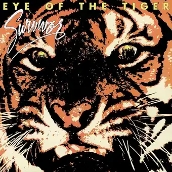 Bol.com Eye Of The Tiger aanbieding