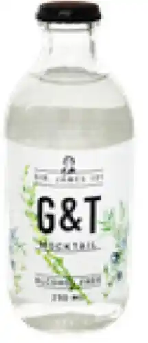 Prik en Tik Sir James 101 0.0% Gin & Tonic 25cl aanbieding