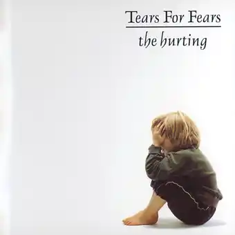 Bol.com Tears For Fears - The Hurting (CD) (Remastered) aanbieding