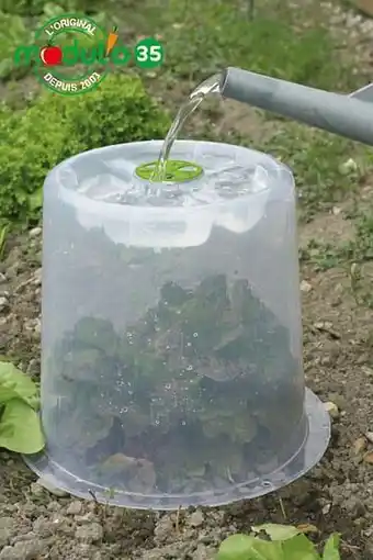 Brico Mini serre cloche Modul’o 35 polypropylène transparent aanbieding
