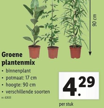Lidl Groene plantenmix aanbieding