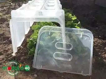 Brico Embout serre tunnel Modul’o 40 polypropylène transparent 5x37x28cm aanbieding