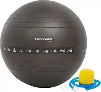 Tunturi Anti Burst Fitness bal met Pomp - Yoga bal 65 cm - Pilates bal - Zwangerschapsbal – 220 kg gebruikersgewicht - Incl T
