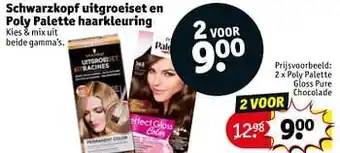 Kruidvat Poly palette gloss pure chocolade aanbieding