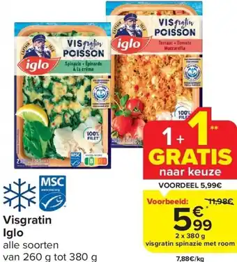 Carrefour Visgratin Iglo aanbieding