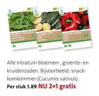 Alle intratuin bloemen-, groente- en kruidenzaden. snackkomkommer cucumis sativus
