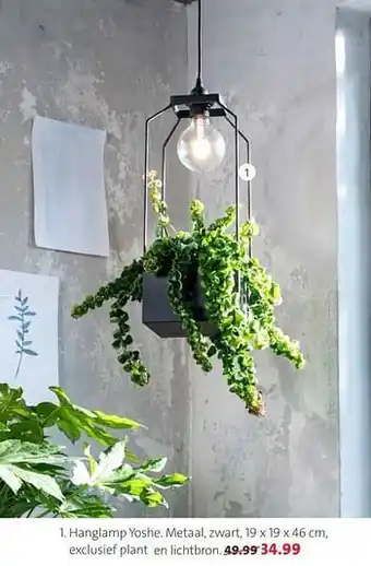 Intratuin Hanglamp yoshe aanbieding