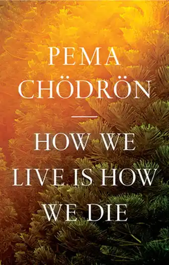 Bol.com How We Live Is How We Die aanbieding