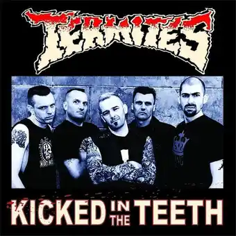 Bol.com Termites - Kicked In The Teeth (LP) aanbieding