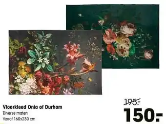 Vloerkleed Onia of Durham