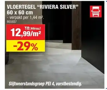 Vloertegel "Riviera Silver" 60 x 60 cm
