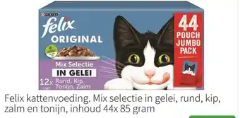 Felix kattenvoeding