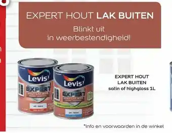 Hubo Expert Hout Lak Buiten 1L aanbieding