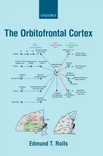 Bol.com The Orbitofrontal Cortex aanbieding