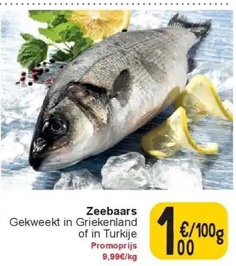 Cora Zeebaars aanbieding