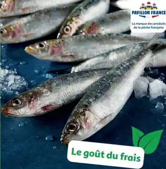 Auchan SARDINES aanbieding