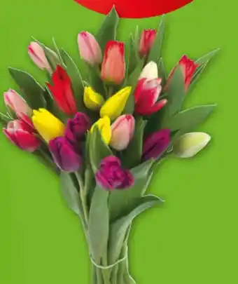 Lidl Tulpenboeket per boeket aanbieding
