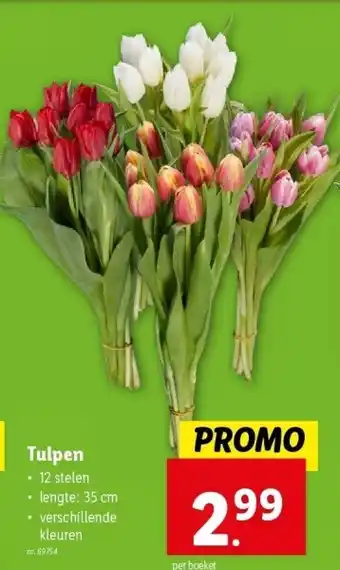 Lidl Tulpen aanbieding
